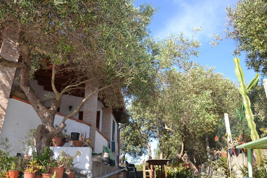 Mi casa es tu casa 79 Bed & Breakfast Portoscuso Bagian luar foto